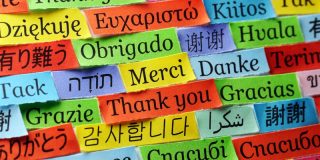 هفت زبان اصلی دنیا